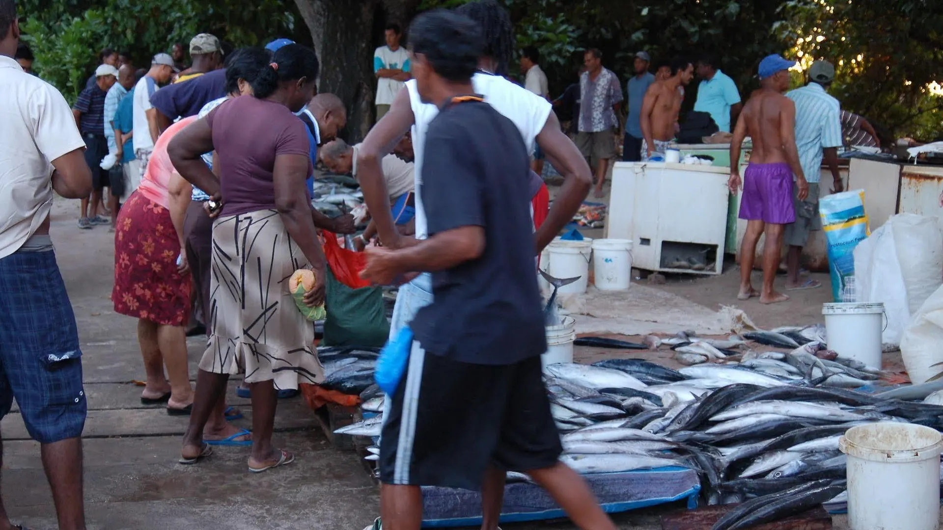 Pieds Dans L'Eau Aparthotel Anse Royale 3*,  Seychelles
