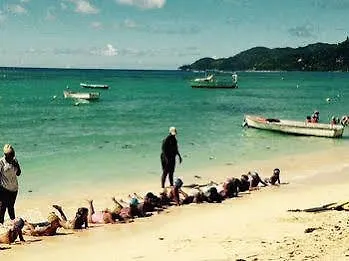 Pieds Dans L'Eau Aparthotel Anse Royale