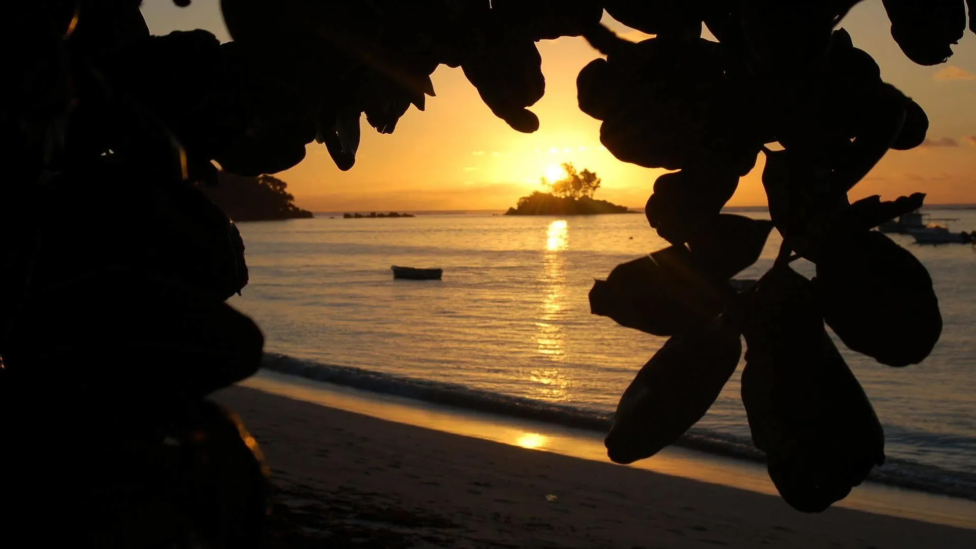 Pieds Dans L'Eau Aparthotel Anse Royale